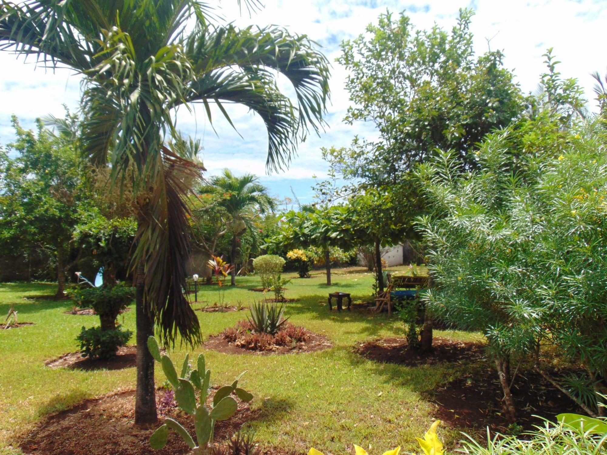 Villas Dora And Holly Diani Beach Bagian luar foto